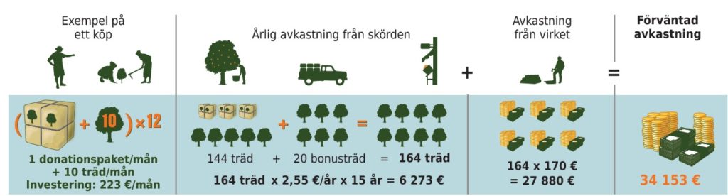 bonusträd - upplägg